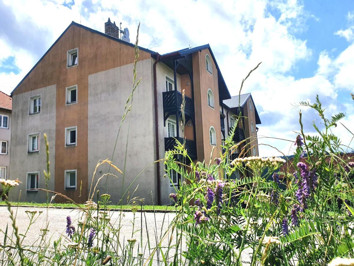 Apartmany Lipno-1 Lipno nad Vltavou Zewnętrze zdjęcie