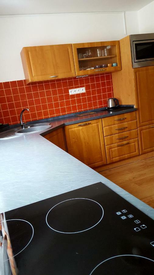 Apartmany Lipno-1 Lipno nad Vltavou Zewnętrze zdjęcie