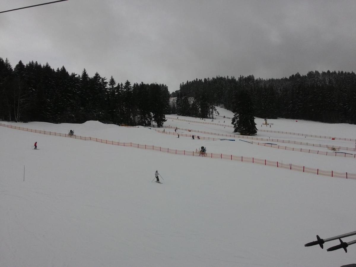 Apartmany Lipno-1 Lipno nad Vltavou Zewnętrze zdjęcie