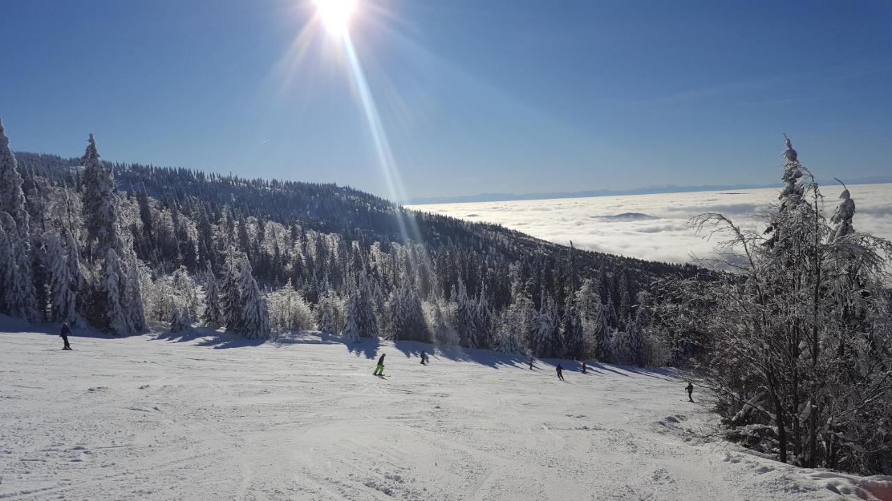 Apartmany Lipno-1 Lipno nad Vltavou Zewnętrze zdjęcie