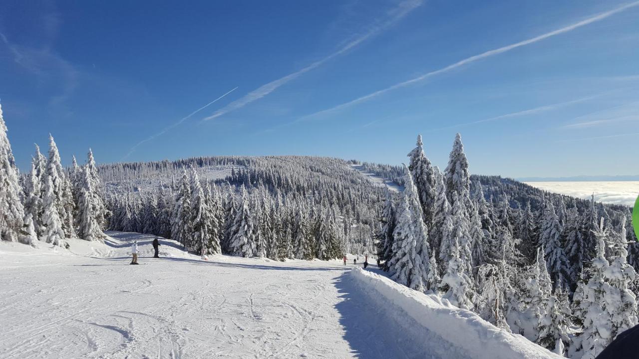Apartmany Lipno-1 Lipno nad Vltavou Zewnętrze zdjęcie